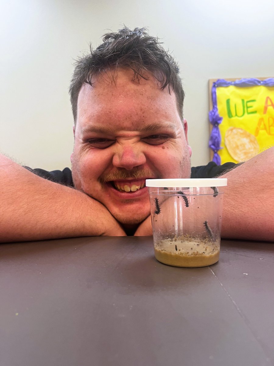 Arcofacadiana1's tweet image. More Day Program fun! Our caterpillars have arrived at Lafayette Day Program, and we’re patiently watching as they grow and transform into beautiful butterflies.🐛✨ 🦋

#ArcOfAcadiana #AchieveWithUs #DayProgram