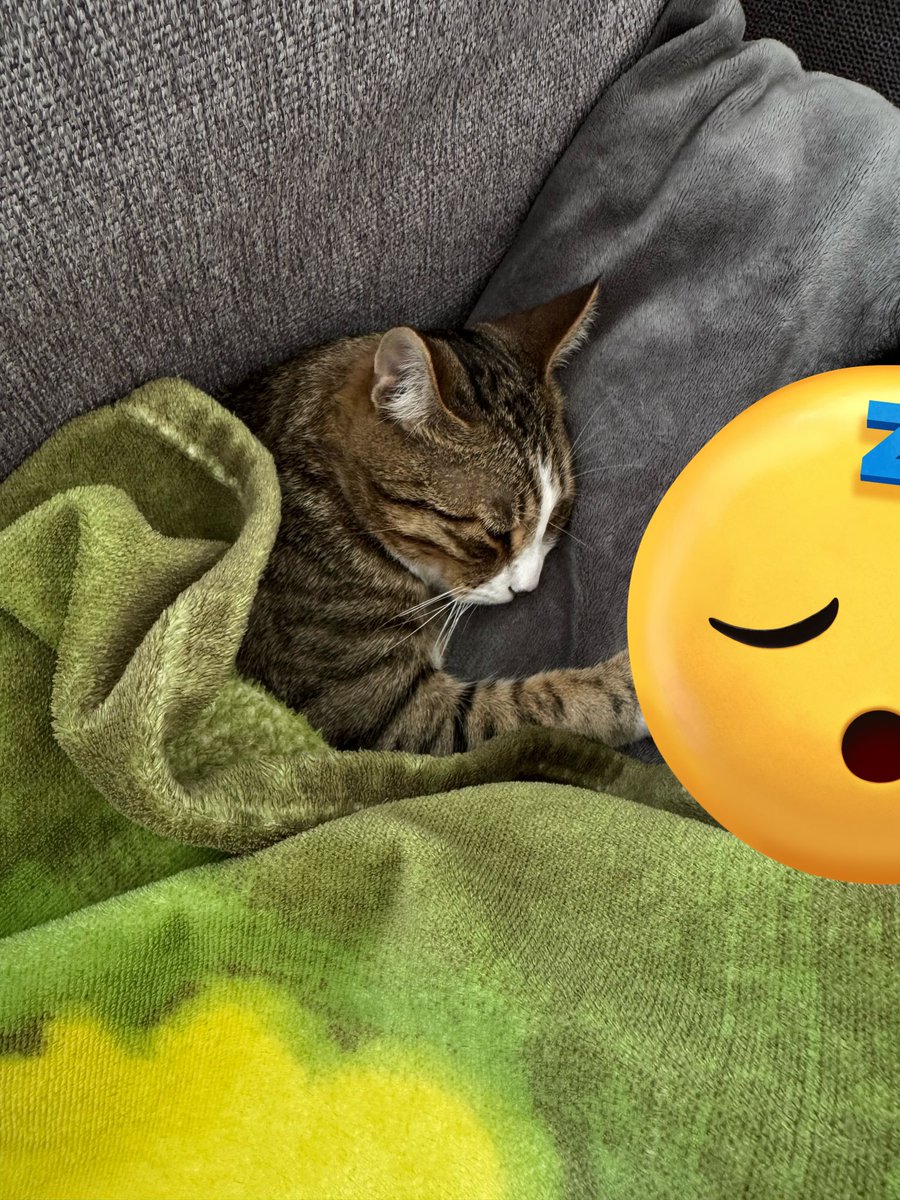 pincofficiel's tweet photo. Le pot de colle https://t.co/DfL4osd6cO