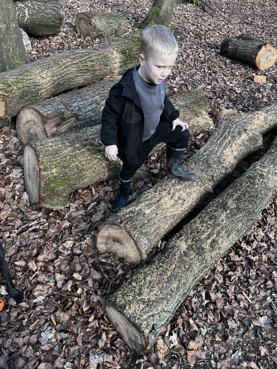 CharleyDavo's tweet photo. @SouthfieldFS So far we’ve visited Yorkshire Wildlife Park 🐅 &amp; Clifton Park Museum 🐻 
We’ve painted dinosaurs 🦖 
We’ve been for a welly walk 🌳 https://t.co/vfa9W3E5Tj