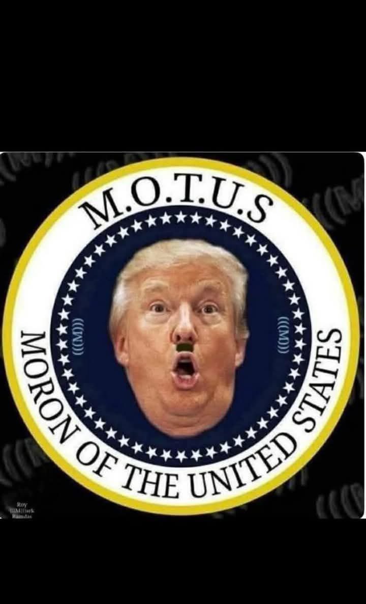 lennonfan4's tweet image. 