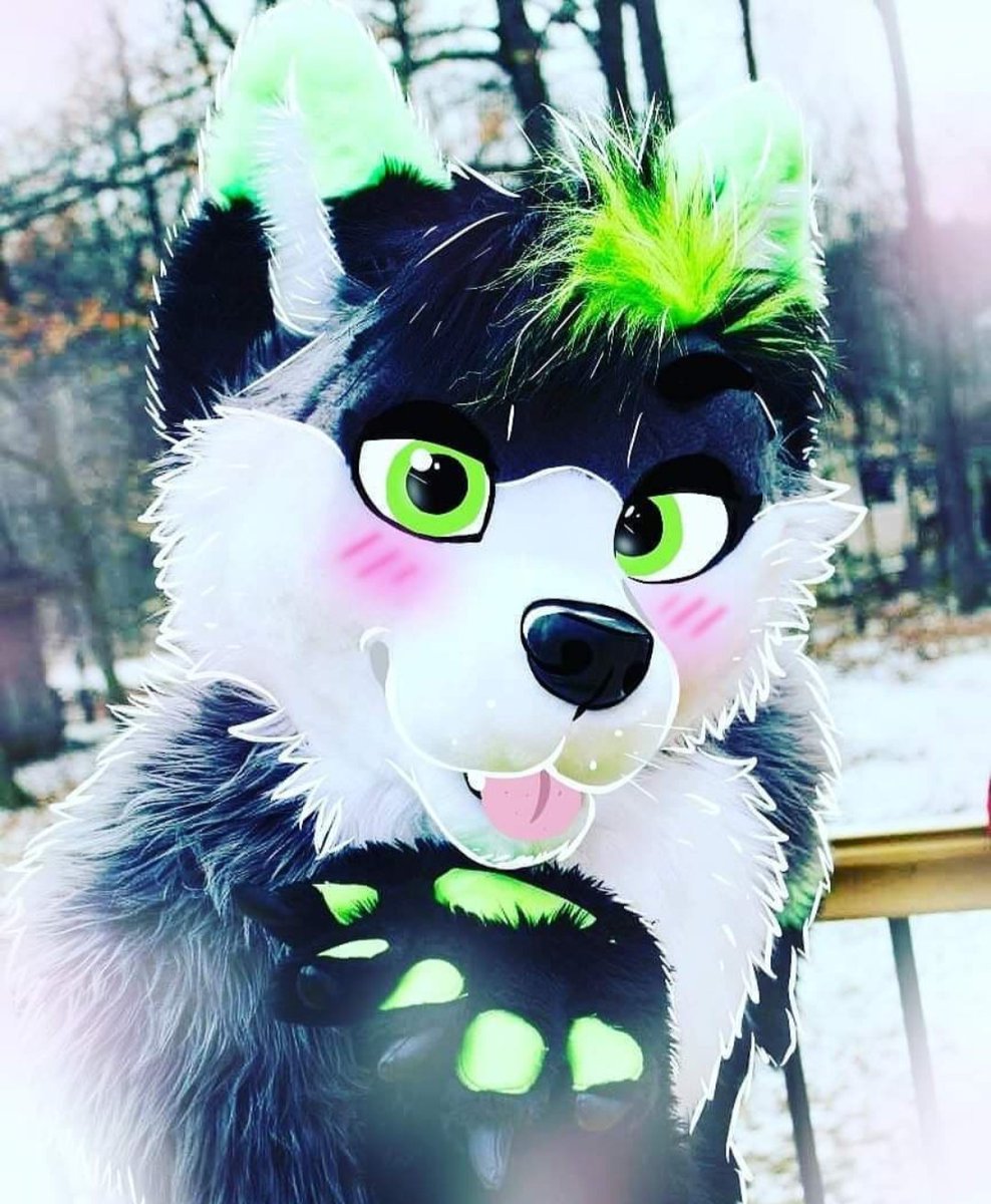 💚𝐅𝐢𝐫𝐞𝐟𝐥𝐲 𝐖𝐨𝐥𝐟𝐲~ 🔜AC tweet media