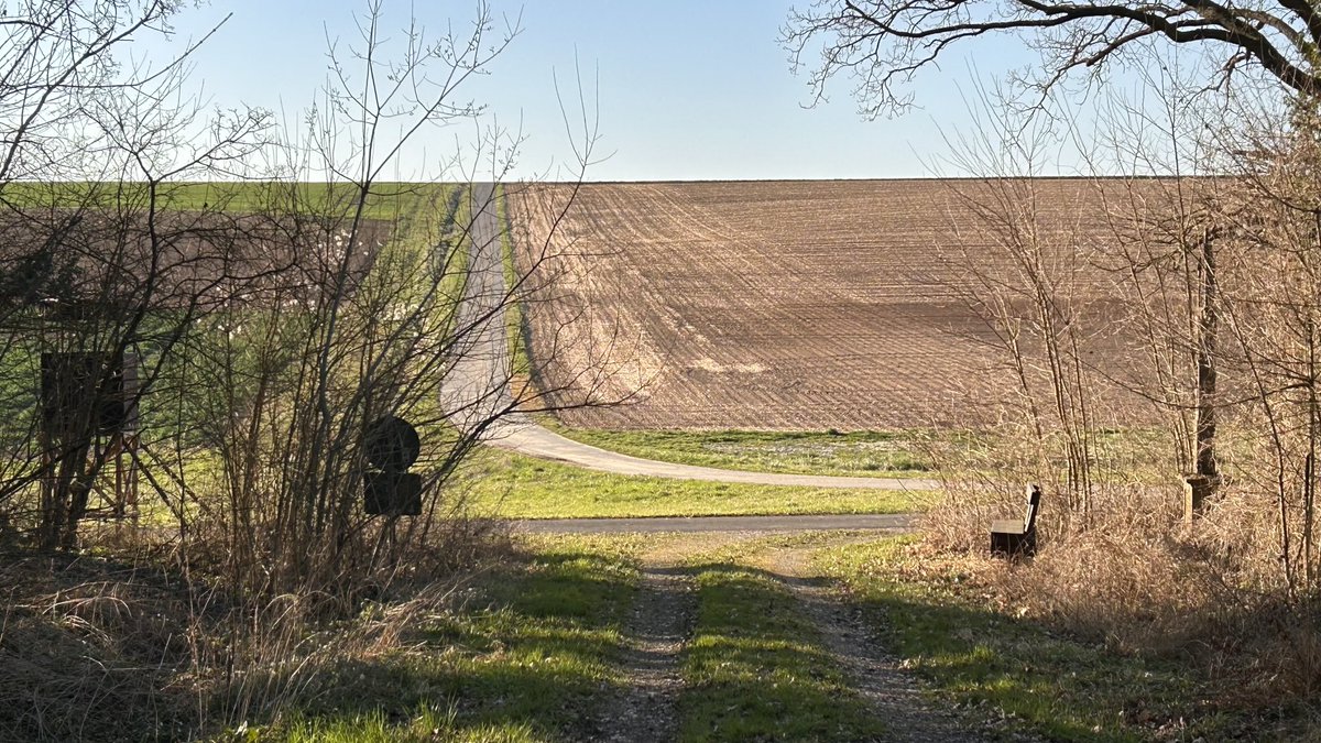 Schlockmaster tweet media