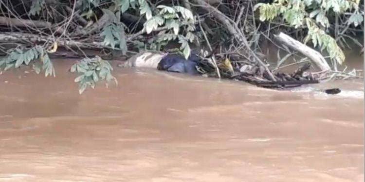 #BalançoGeralRJ TINO CABEÇA E BRAÇOS BOIANDO NOS LIXOS NO RIO AO LADO DO CONJUNTO HABITACIONAL EM CAMPO GRANDE NO CONJUNTO CAMPINHO. ESSE RIO PASSA EM BAIXO DA AV BRASIL !