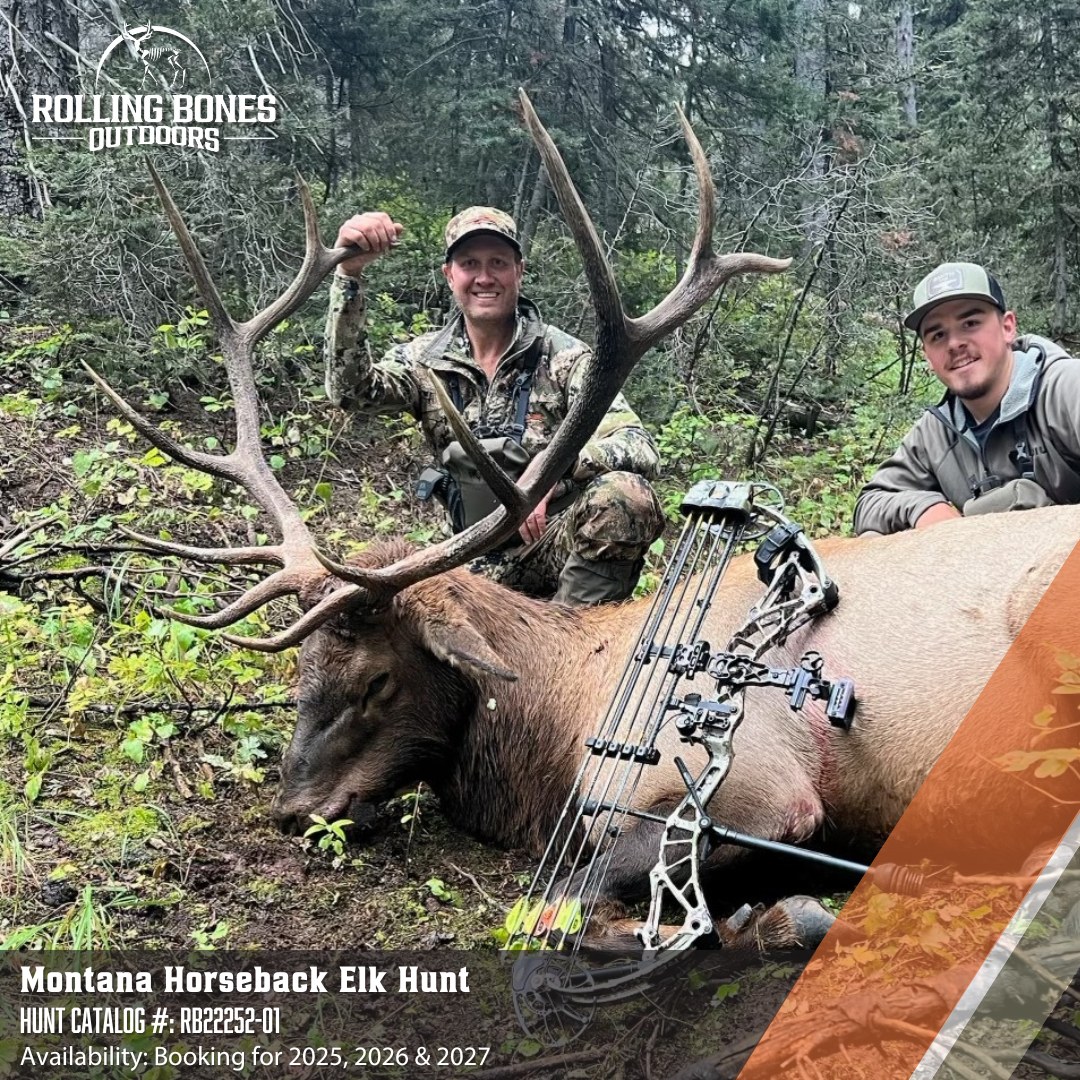 RBO_Adam's tweet image. Still a few 2025 elk spots available in:
🐂 British Columbia
🏔️ Colorado
🌵 New Mexico
Let’s get you in before they’re gone.
#ElkHunting #RollingBonesOutdoors #BookYourHunt