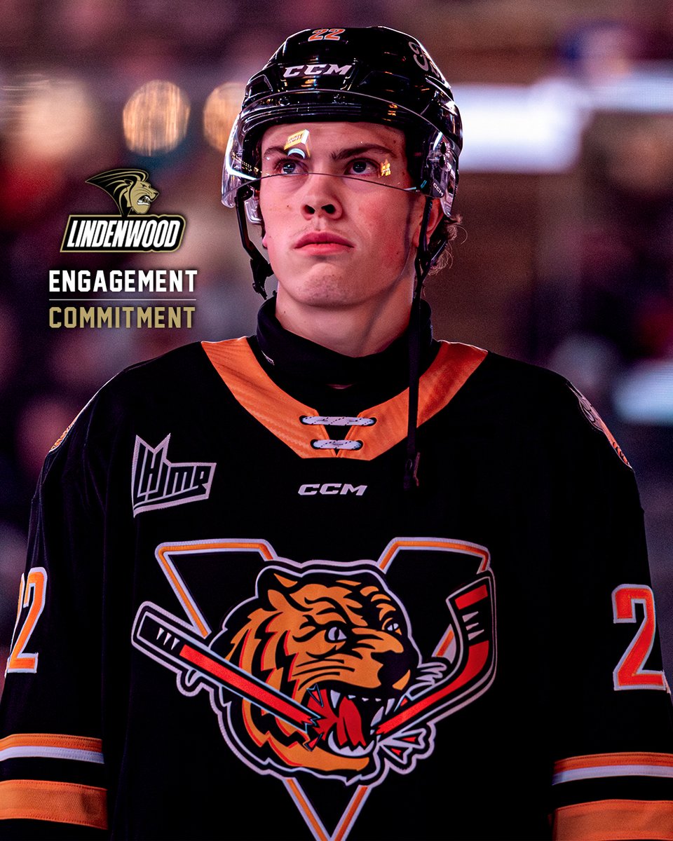 Notre attaquant Olivier Houde poursuivra son cheminement académique et sportif avec les Lions de l'Université Lindenwood (NCAA) ! 🦁

Félicitations Houdy ! 👏

#GoTigresGo