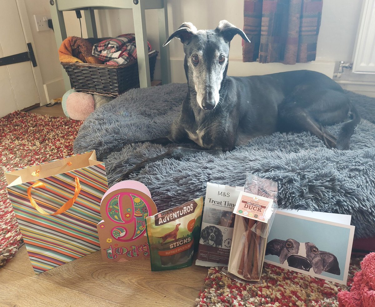 Milli Moo & Mister Tom 🌈 tweet media