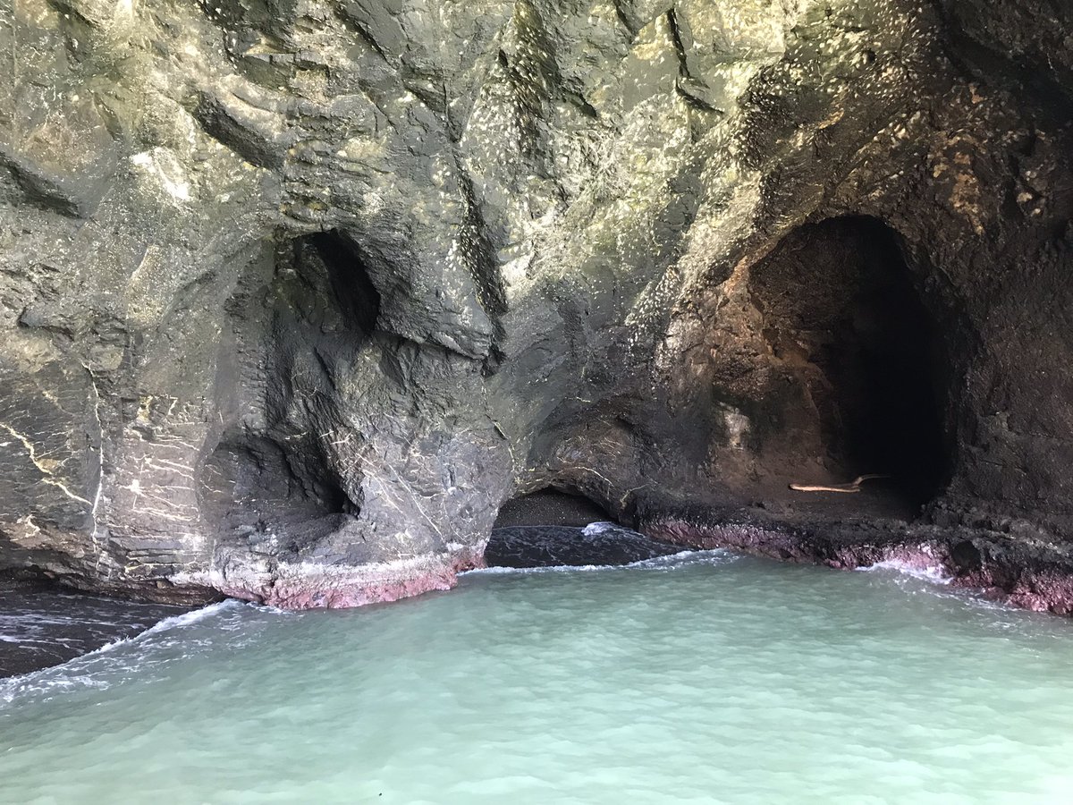 Cuevas costeras Cabo de La Vela (Guajira) formadas por erosión mar y viento. Mantienen una población de murciélago 🦇: Leptonycteris curasoae-amenazado VUA2 <a href="/Wildlifeguajira/">Alex Alberto González Vargas</a> . Pronto: Biodiversidad cavernícola Colombia <a href="/U_ElBosque/">Universidad El Bosque</a> <a href="/inst_humboldt/">Instituto Humboldt</a> <a href="/espeleocol/">Asociación Espeleológica Colombiana - ESPELEOCOL</a>