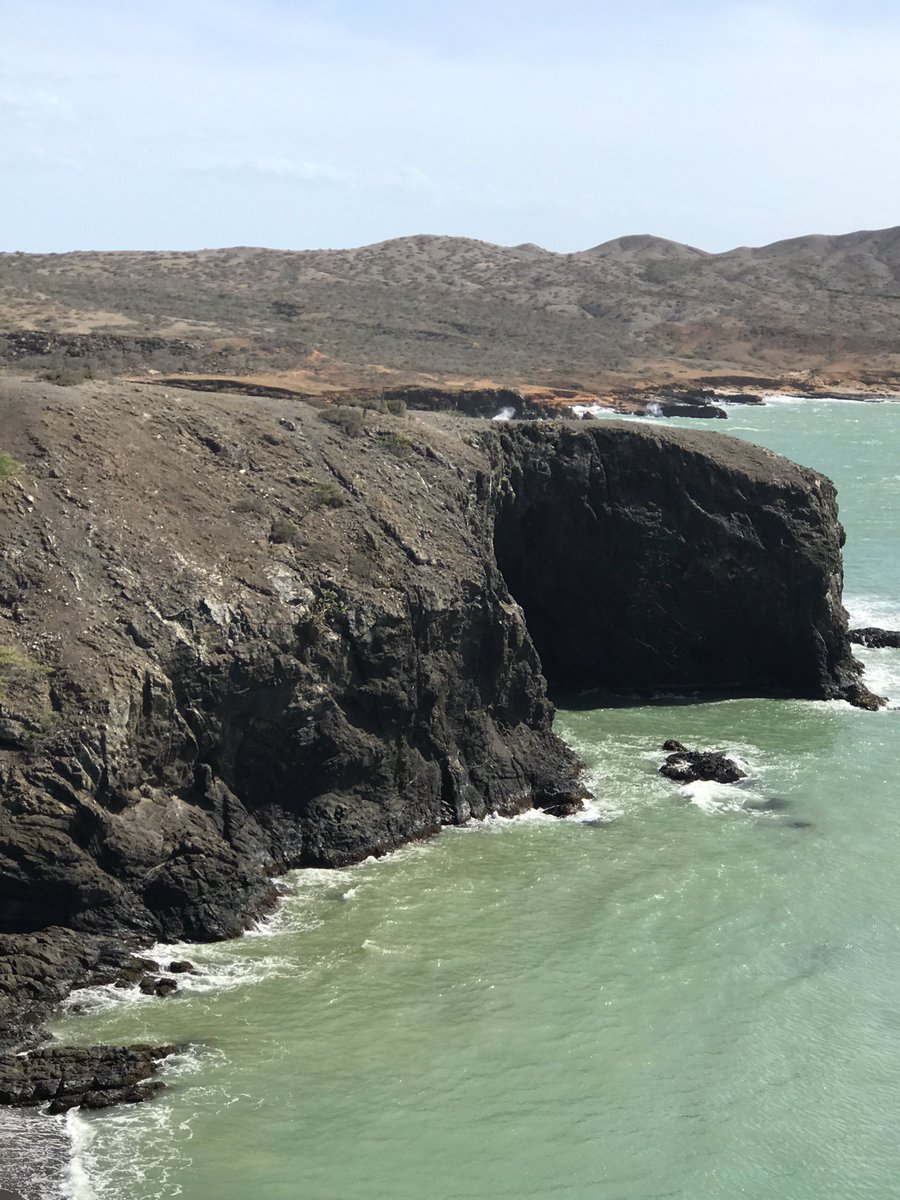 Carlos Lasso tweet media