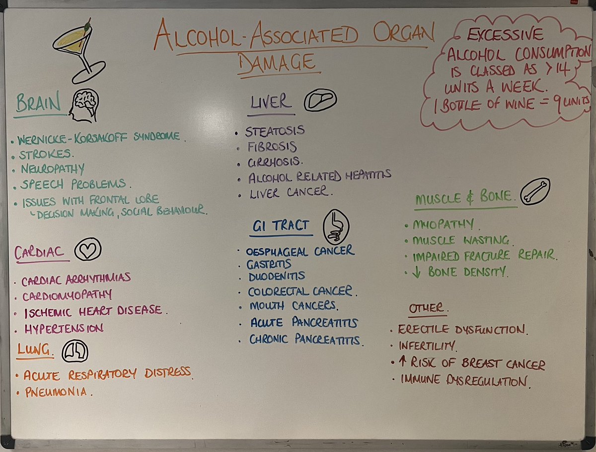 Marion Clark (@marionjclark19) on Twitter photo Gastro teaching board for April. Alcohol related organ damage. Not many organs it doesn’t effect. <a href="/AAAcuteAdvPrac/">Advanced Practice NHS Ayrshire and Arran</a> #gastroteaching Gastro teaching board for April. Alcohol related organ damage. Not many organs it doesn’t effect. <a href="/AAAcuteAdvPrac/">Advanced Practice NHS Ayrshire and Arran</a> #gastroteaching