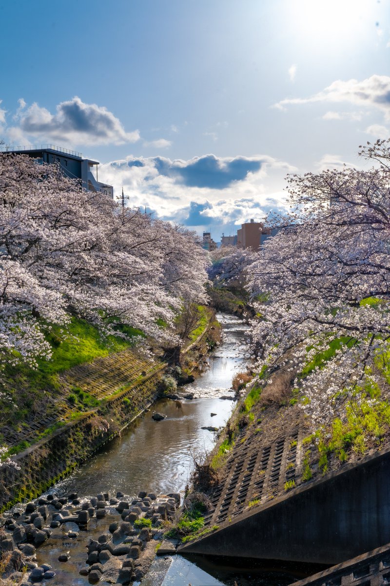 少し写真上手くなった気がする！