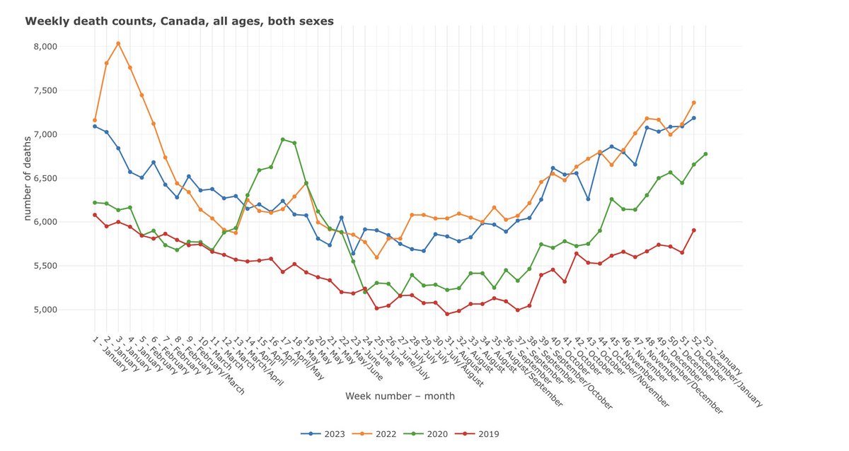 Bink 🇨🇦🇺🇸 tweet media