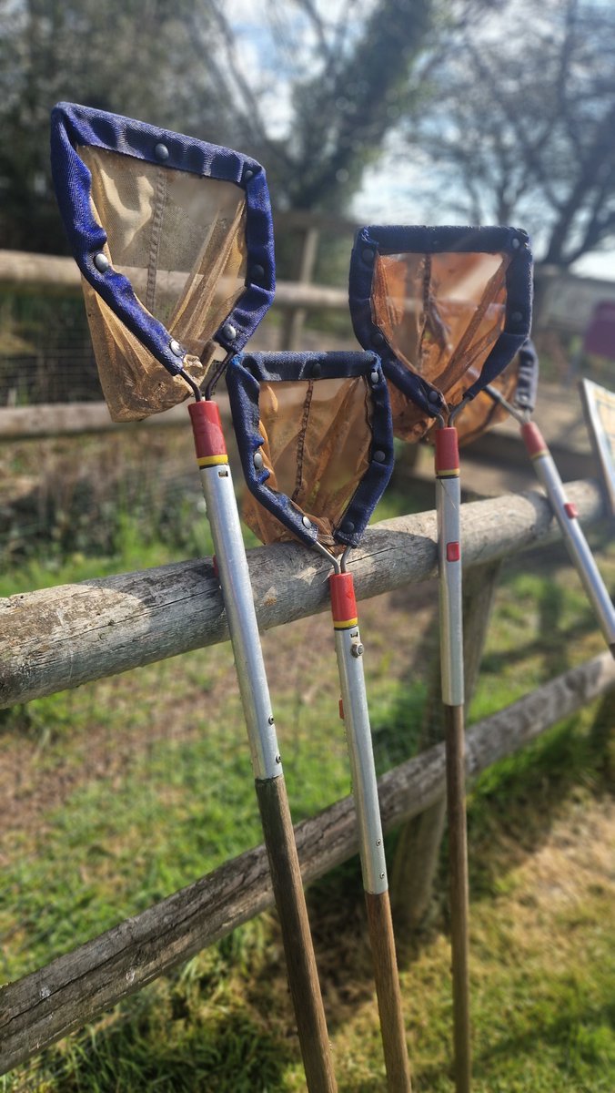 Learning about habitats and adaptations with Year 4 today #PondDipping #Minibeasts