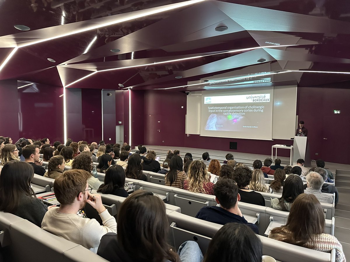 iins_bordeaux's tweet photo. #IINSmeeting 👥🟢Today, Tomás Garnier Artinano, Margaux Giraudet and Etienne Herzog talk to #IINScommunity💚about somatosensory cortex, thalamic nuclei and secondary motor cortex and flurorescence on sub-cellular 🧠🔬
@Neuro_Bordeaux https://t.co/hCCujVTj6i