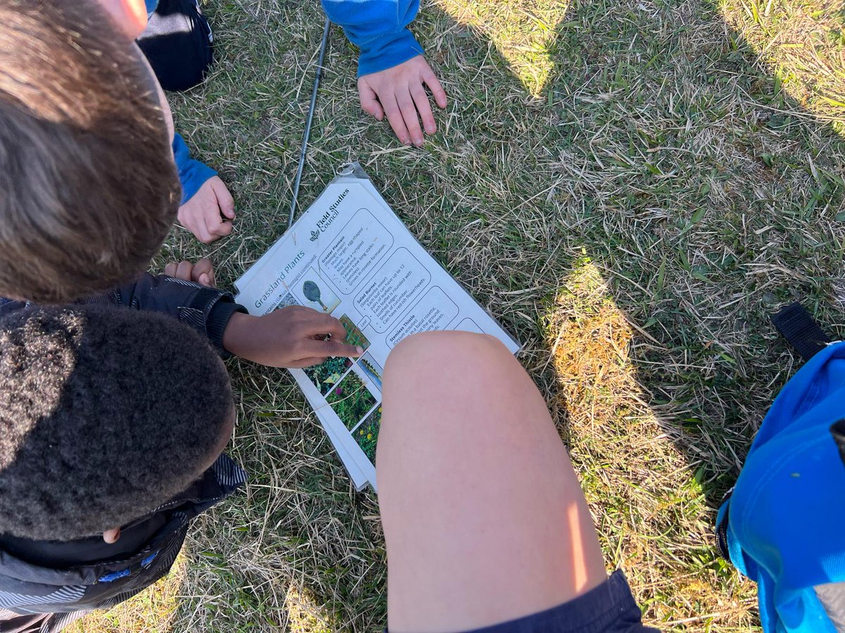 Tetherdown tweet media