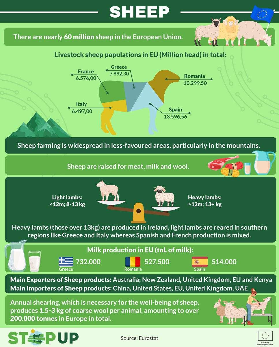 🐑EU Lamb Production at a Glance! 🇪🇺
Sheep farming has been a cornerstone of European agriculture for centuries, shaping landscapes and traditions. The EU is home to 1 million sheep producers, committed to high-quality, safe, and sustainable lamb production.
