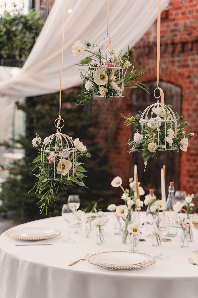 MyFancyDressIE's tweet image. Elevate Your Event with a Beautiful Bird Cage! 🕊️
Looking for the perfect decorative touch for your wedding, party, or special event? Our Bird Cage adds a vintage and elegant flair to any setting.
 myfancydress.ie/search?type=pr…
#ElegantEvents #RusticChic #SpecialOccasion #MyFancyDress