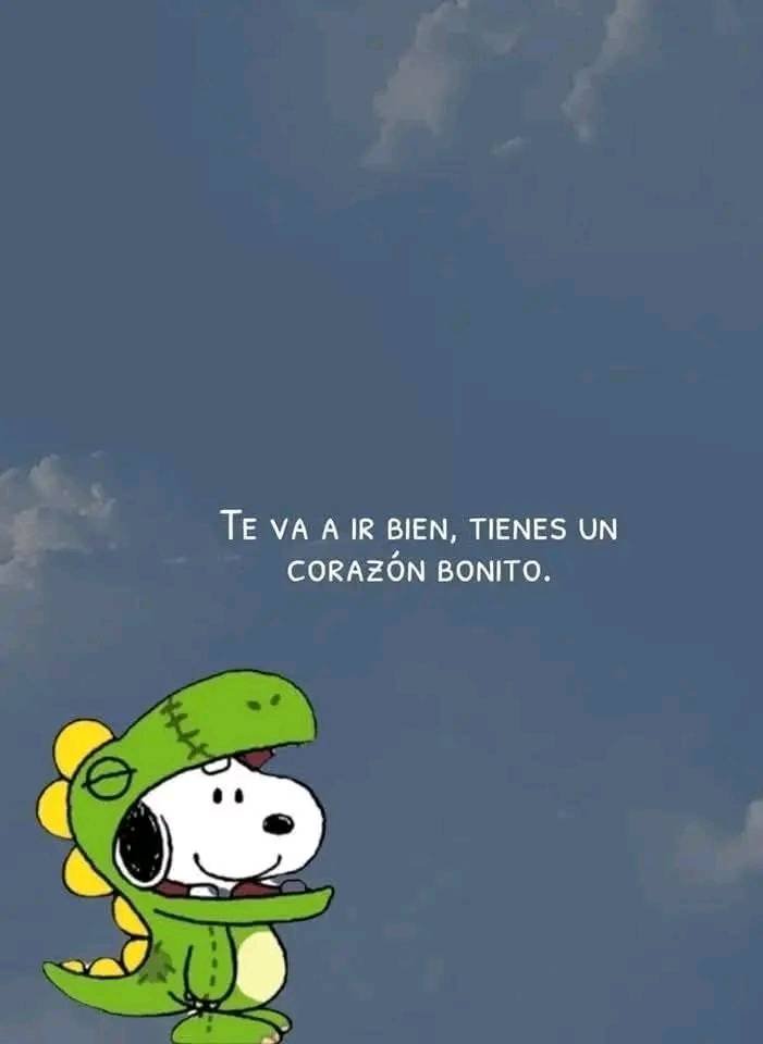 BANDIDOS (@bandidosfrasess) on Twitter photo 