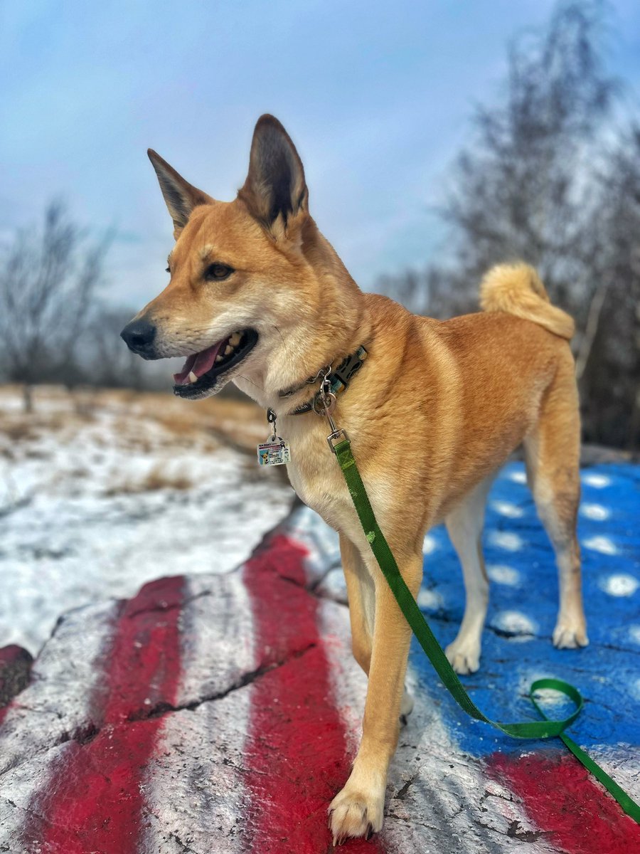 ᴉllǝsoɹ qoɹ tweet media