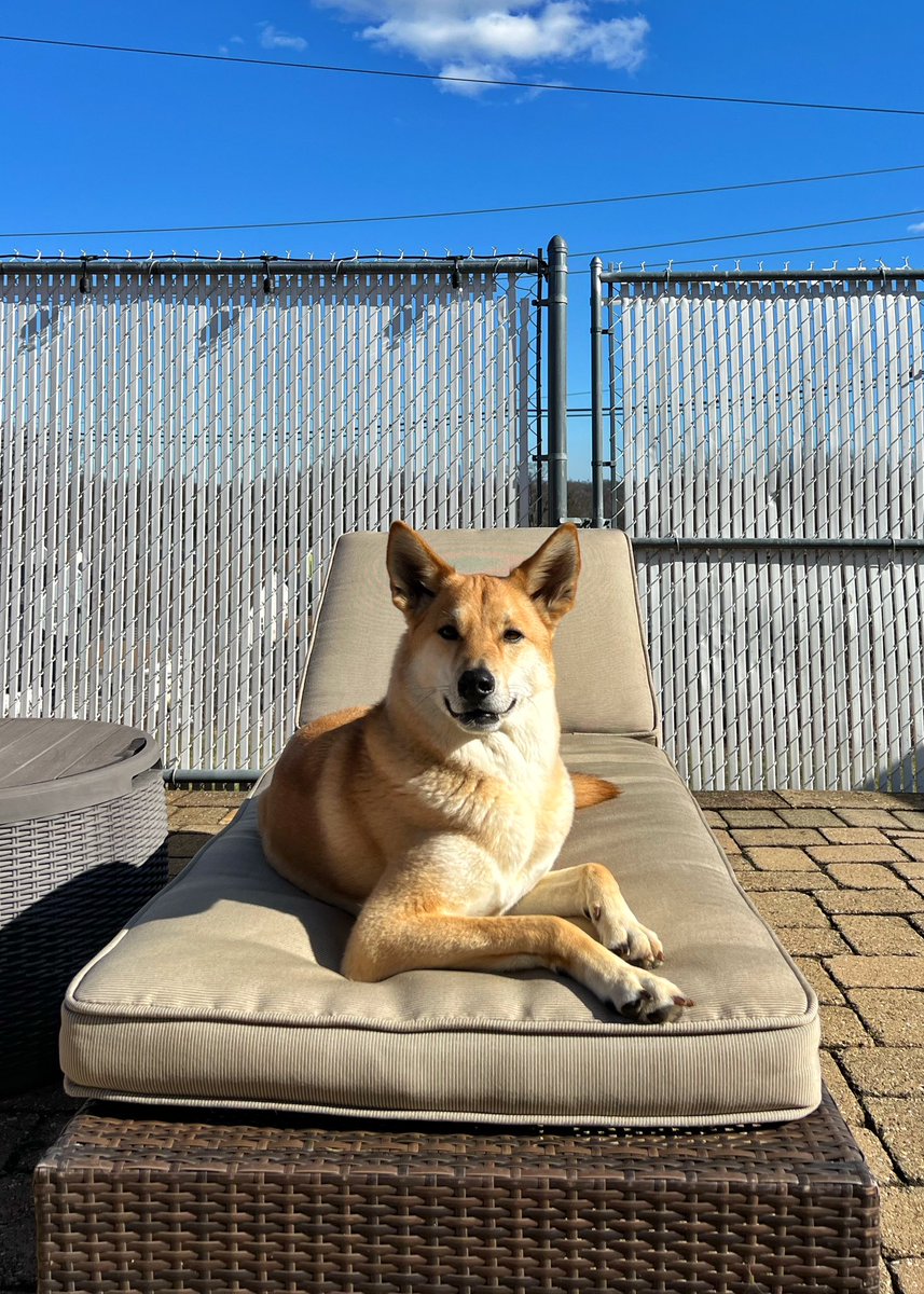 ᴉllǝsoɹ qoɹ tweet media