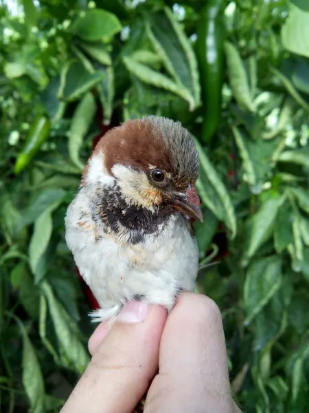 Universidad Granada tweet media