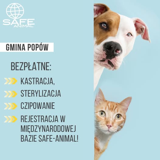 Akcję znakowania zwierząt i sterylizacji rozpoczęła #GminaPopów Mieszkańcy mogą bezpłatnie zabezpieczyć swoje zwierzę przed bezdomnością. Wszystkie zwierzęta zostaną zarejestrowane w bazie #SAFEANIMAL Więcej informacji: gminapopow.pl/sterylizacja-i… 
<a href="/marek_wojcik/">Marek Wójcik</a> <a href="/WojciechSaluga/">Wojciech Saługa</a>
