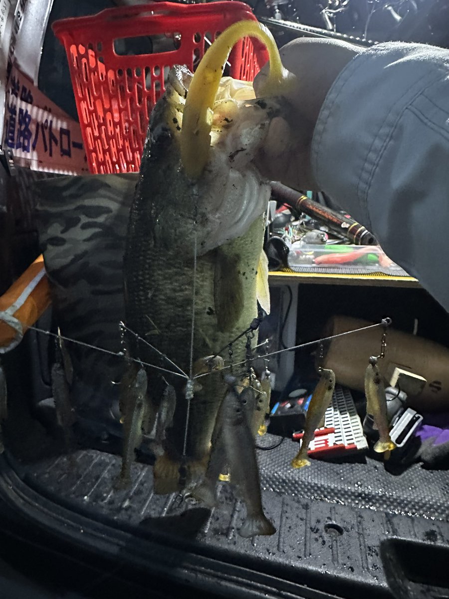 okacchi0520's tweet photo. 久しぶりすぎる仕事終わり🔚
そして仕事中に寄った釣具屋でスリップミノー2匹捕獲。 https://t.co/qaQ9TUKXr2