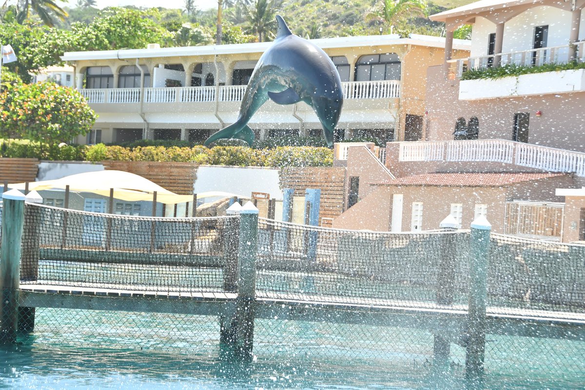 Erica Aiken tweet media