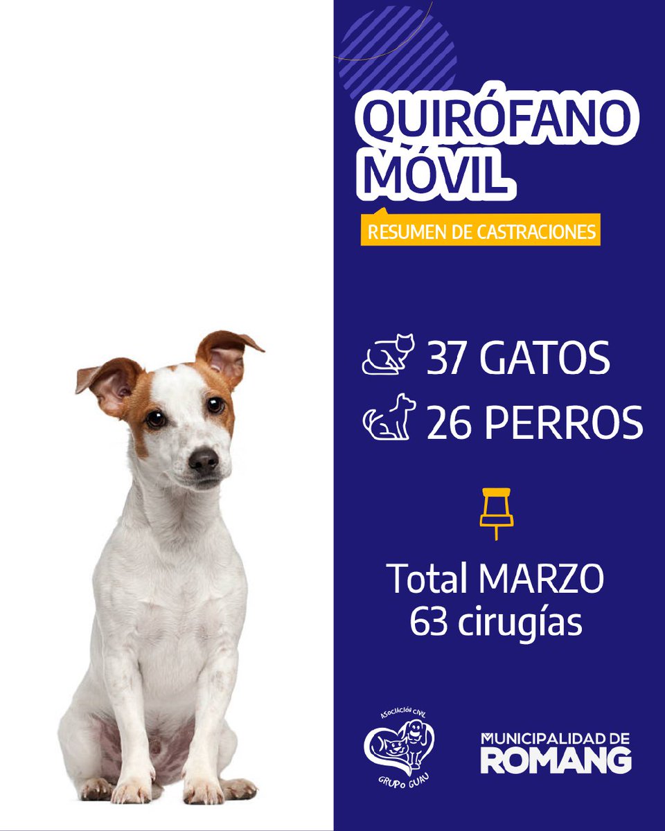 🐾 QUIRÓFANO MÓVIL 2025
  
  La Municipalidad de Romang comunica la cantidad de esterilizaciones realizadas en el mes de MARZO, tanto en machos como hembras.   
🐈 37 GATOS    
🐕 26 PERROS   
📌 Total MARZO 63 cirugías