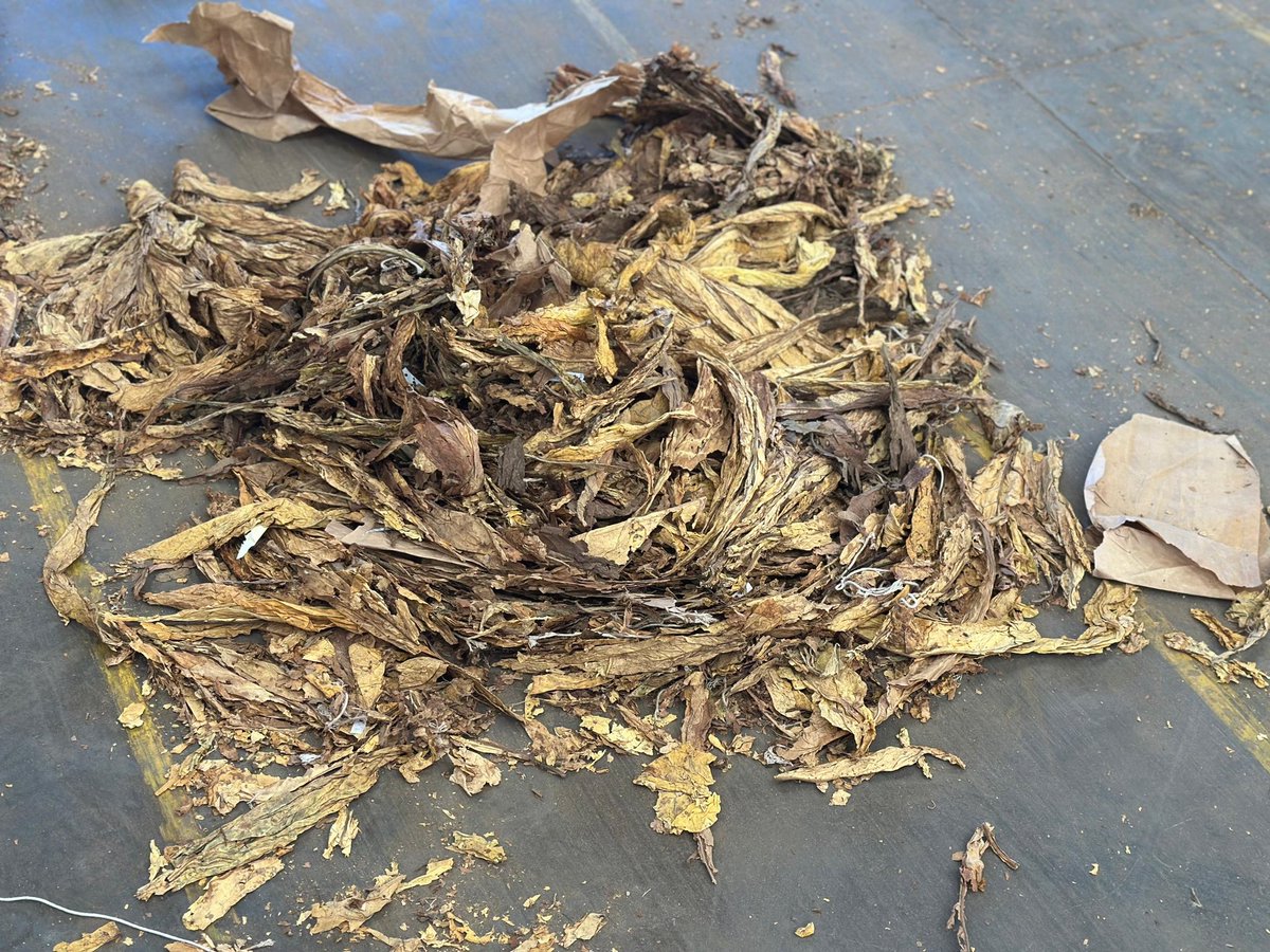 Tobacco Industry & Marketing Board tweet media