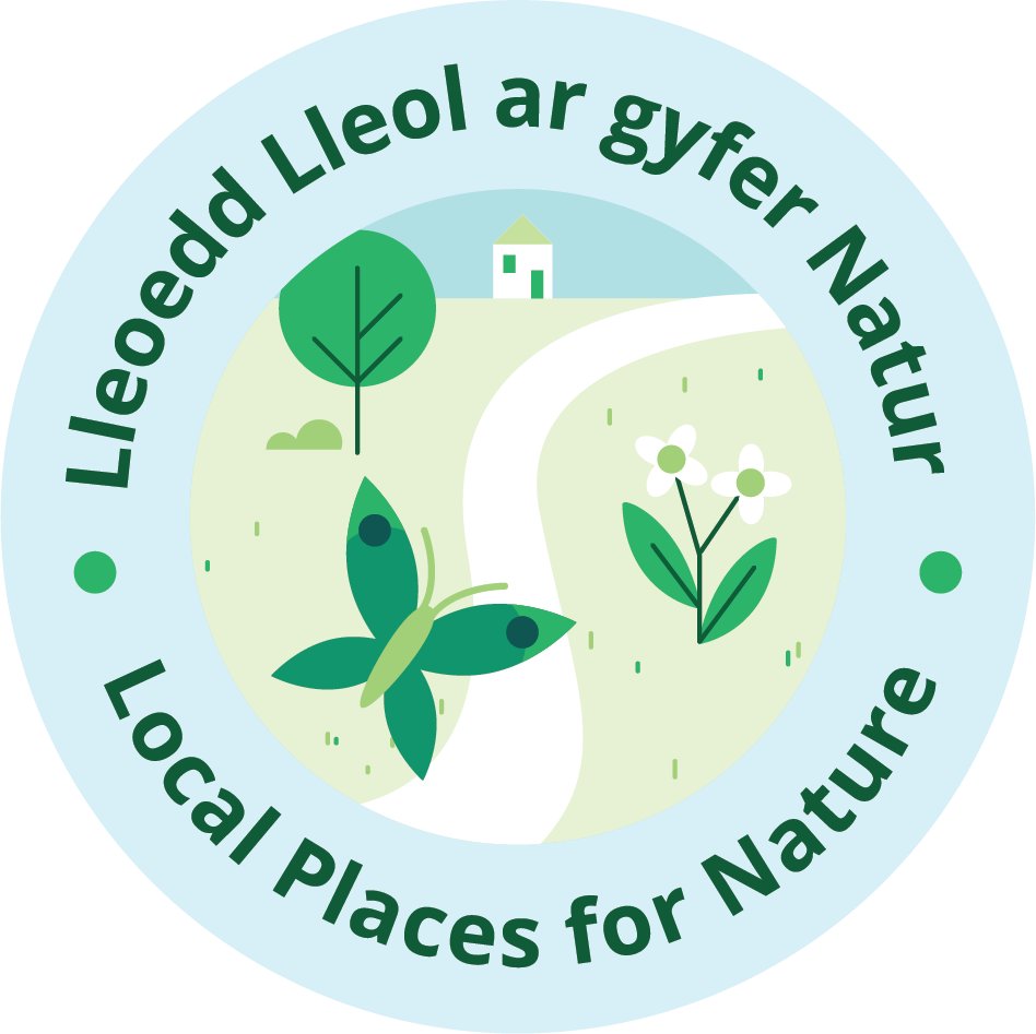 If you are creating a wildflower area to support nature in your back garden this year – have a look at this month-by-month gallery of plants you can find growing through spring and summer below 👇 
bit.ly/3EFMKO6