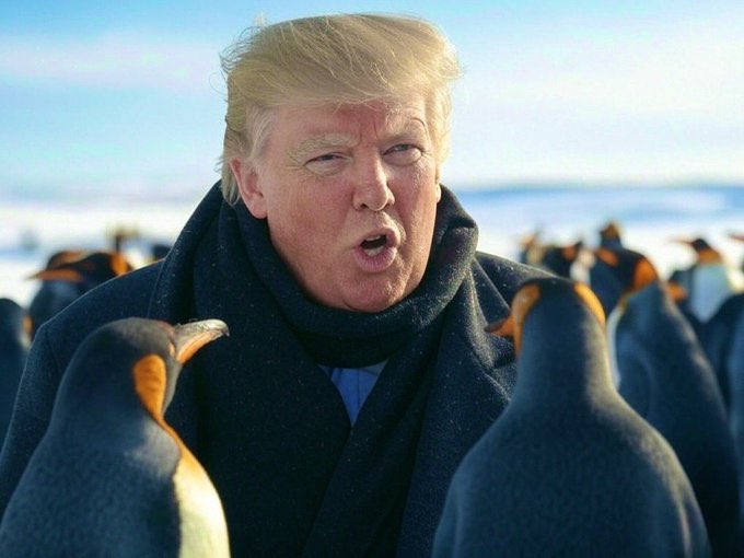 “10% tariffs. Beautiful tariffs. And the penguins - big, strong penguins - come up to me, tears in their eyes: ‘Sir, please, no tariffs. We can’t compete with American penguins.’ But I say, ‘America first.’ They don’t like it, but it’s happening.”#TrumpTariffs
<a href="/YourAnonCentral/">Anonymous</a> 😉