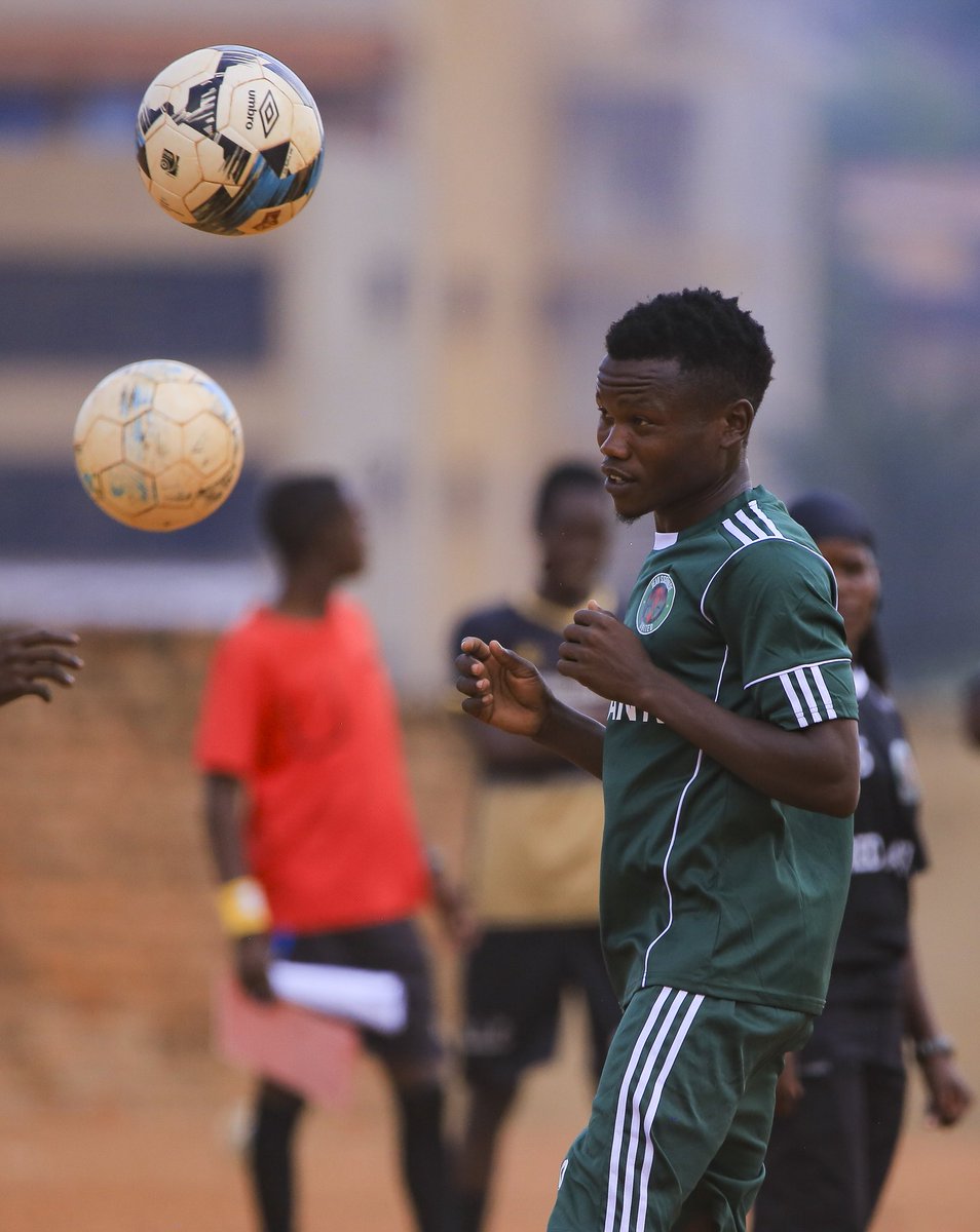 Standarding strong 💪