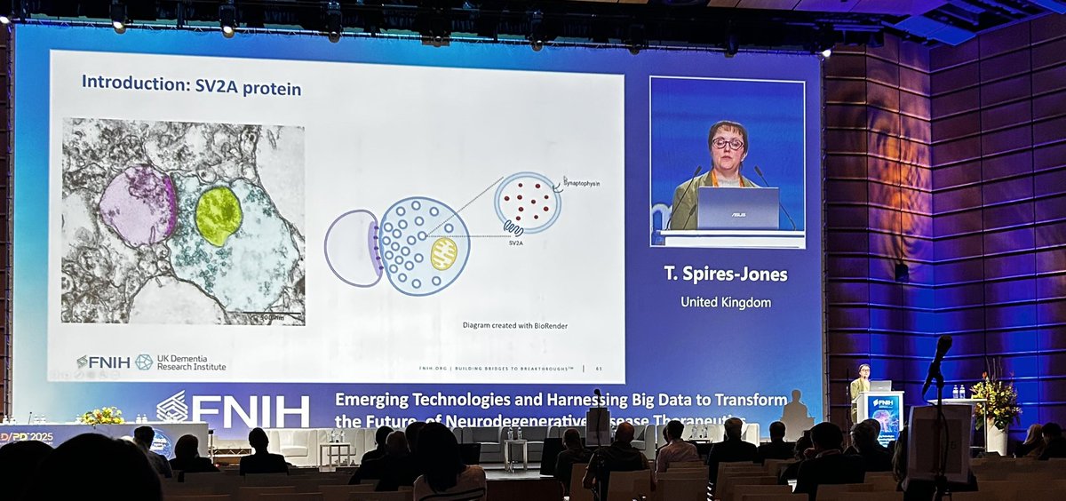 ChoLab_Synapse's tweet image. Very exciting presentation by Prof Spires-Jones (PRE-COMPETITIVE ANALYTICAL VALIDATION OF SV2A PET AS A BIOMARKER OF SYNAPTIC DENSITY), @UKDRI @EdinburghUni at AD/PD2025 Vienna #ADPD2025