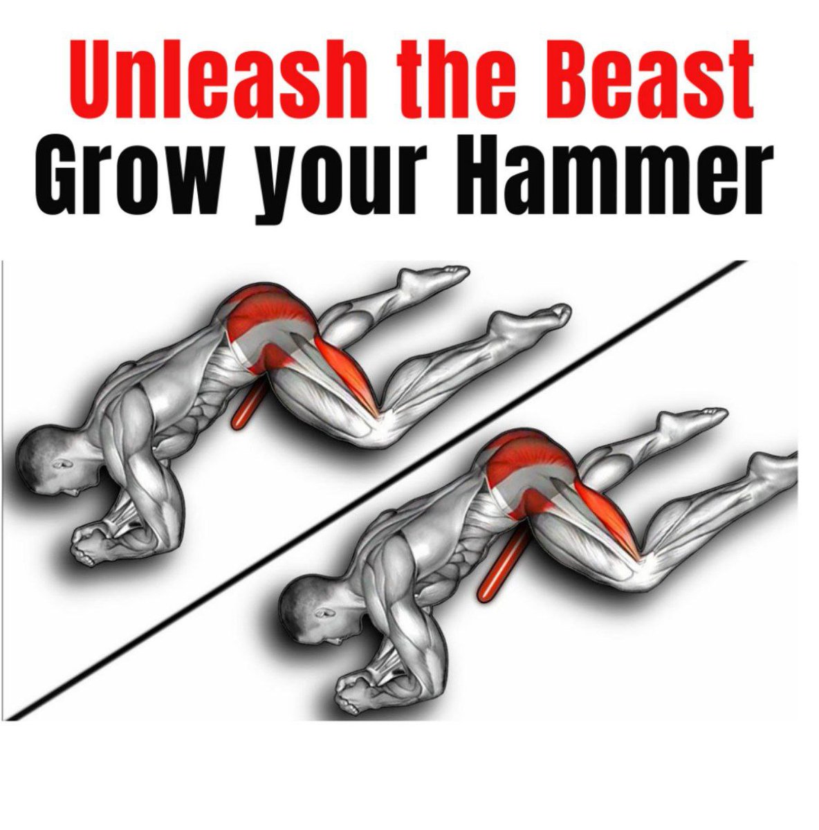 Do these exercises to unleash the beast within you: