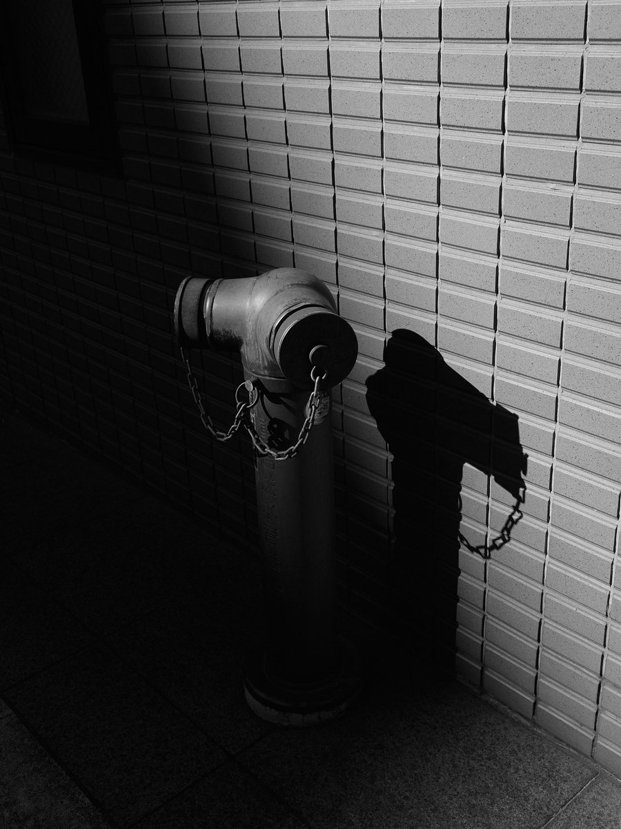 エヌ氏 tweet media