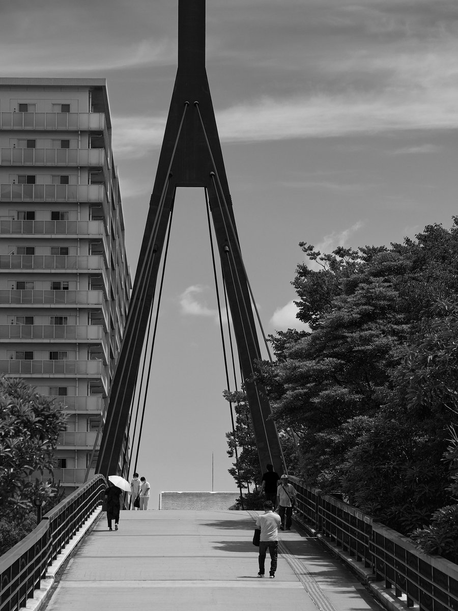 エヌ氏 tweet media