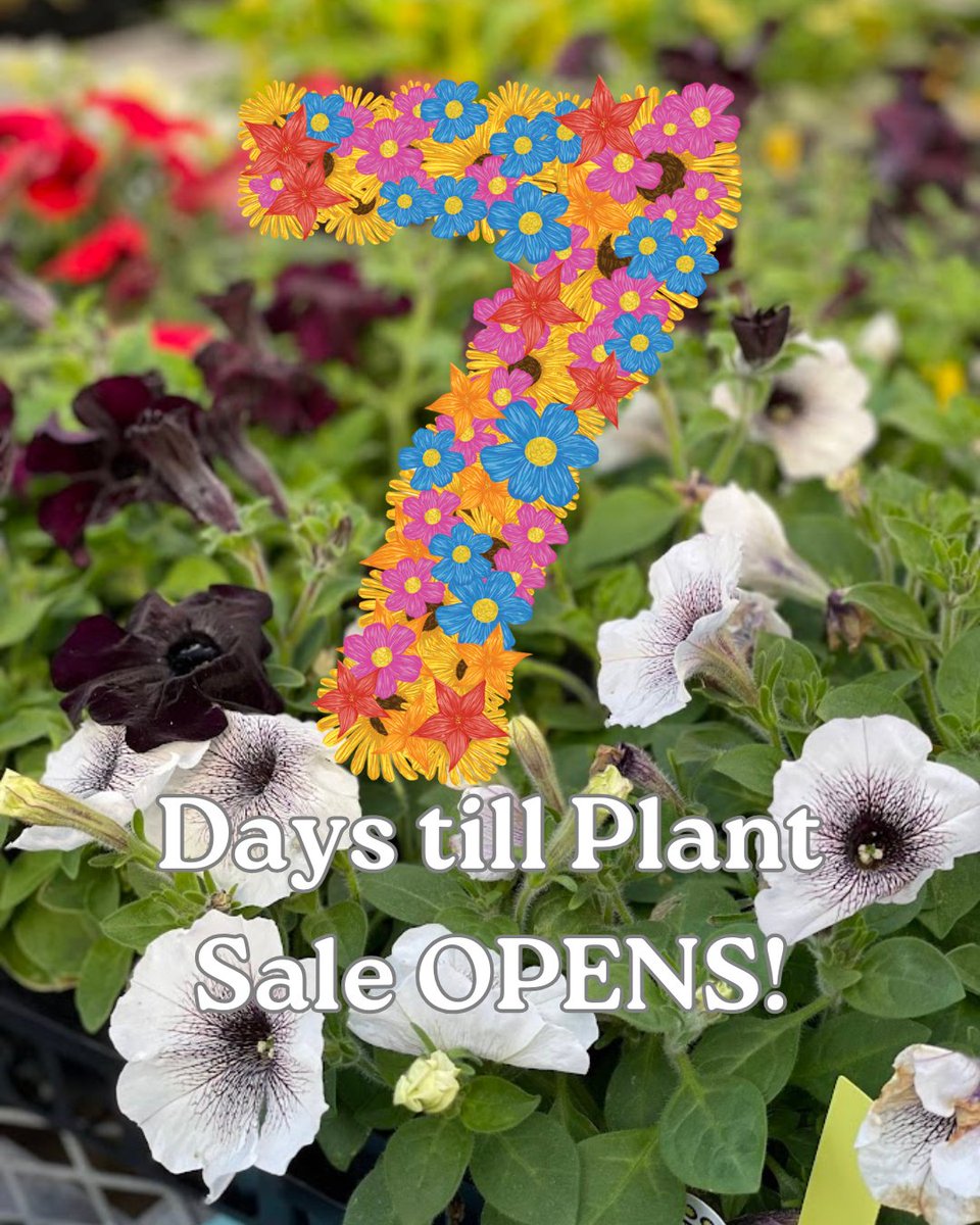 Apex FFA tweet media