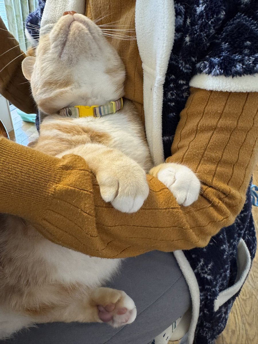 ペヤングからしか得られない栄養がある…
はぁ〜お父さんも好きだったなぁ

今日は母の原稿の仕上げ頑張りました💪 