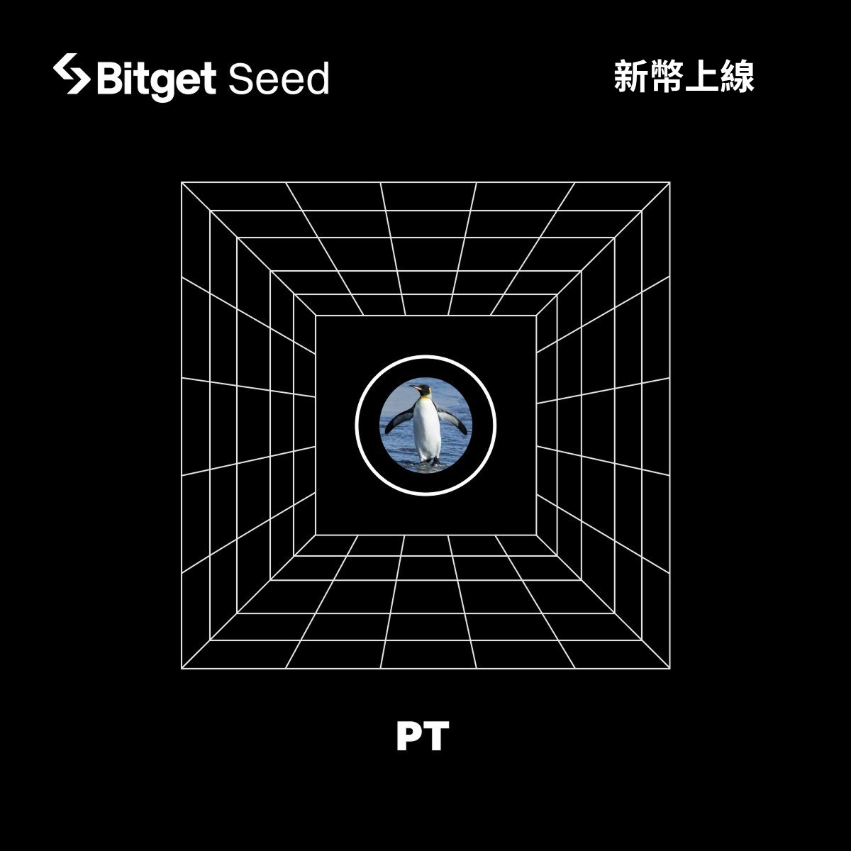BitgetTC's tweet photo. #BitgetSeed 上新啦! 🌱
🔹 $PT
尋找下一個 100x 前往 ➡️ Bitget App ➡️ 主頁 ➡️ Bitget Seed https://t.co/xaeaAoWSbQ