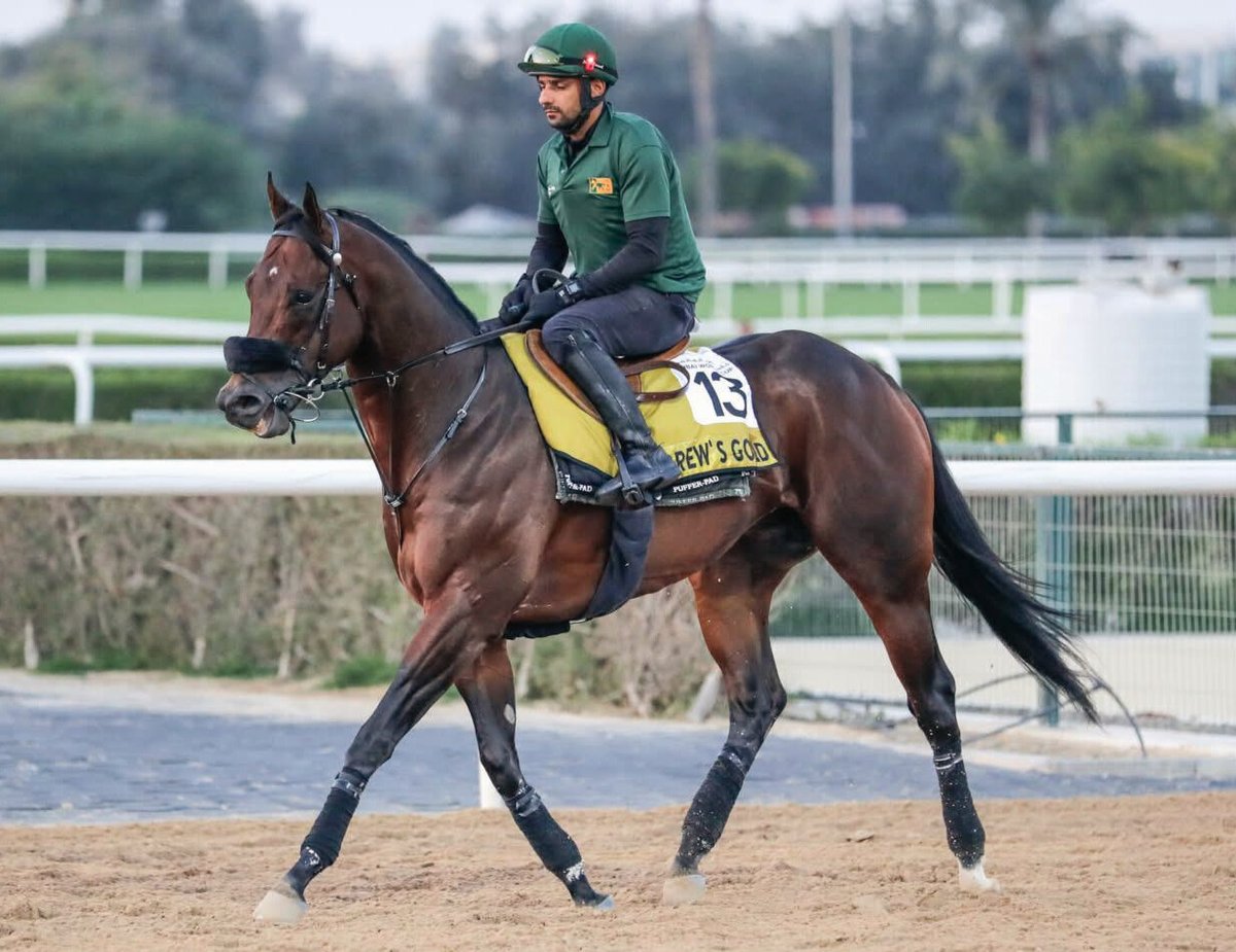 Best Of Luck To TRM Customer Julio Olascoaga with 'Drew's Gold' In The Group 1 Dubai Golden Shaheen At Meydan This Weekend 🏇

<a href="/RacingDubai/">Dubai Racing Club</a> | <a href="/jlolasco/">Julio L. Olascoaga</a> 

#trmnutrition #trm #excellenceinequinenutirition