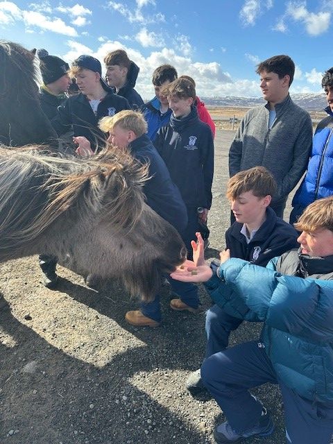 Gorgeous Iceland 🇮🇸
37 of our IV Form and Shell students touched down in the land of 🔥fire and 🧊ice this week for our annual Iceland expedition.
They visited the Hellisheiði Power Plant, explored the Kerið volcanic crater, and even took a dip 🏊‍♀️ at the iconic Secret Lagoon.