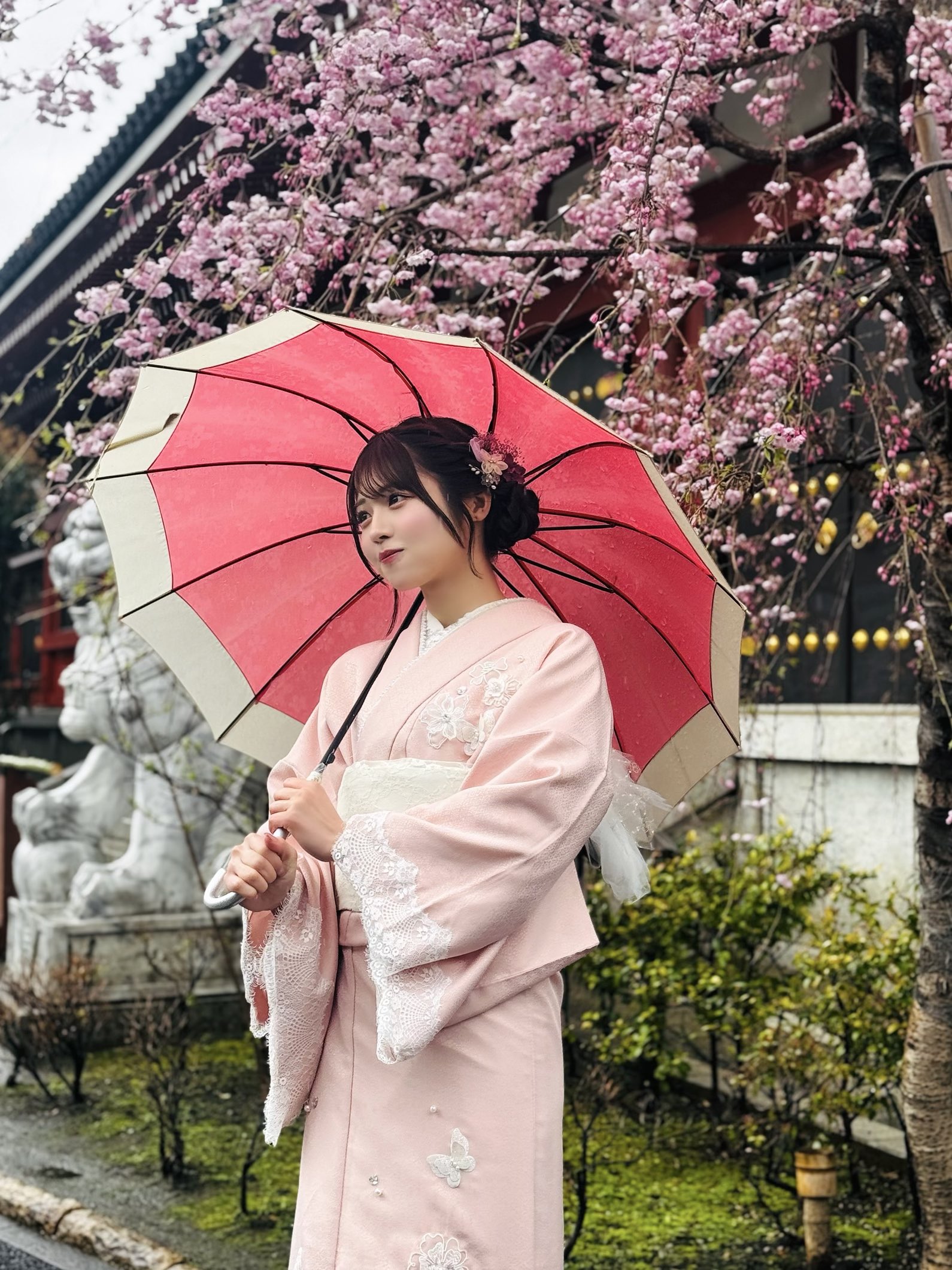 大正乙女喫茶/ふうか～恋紅桜～」発売日・お取り扱い店変更の