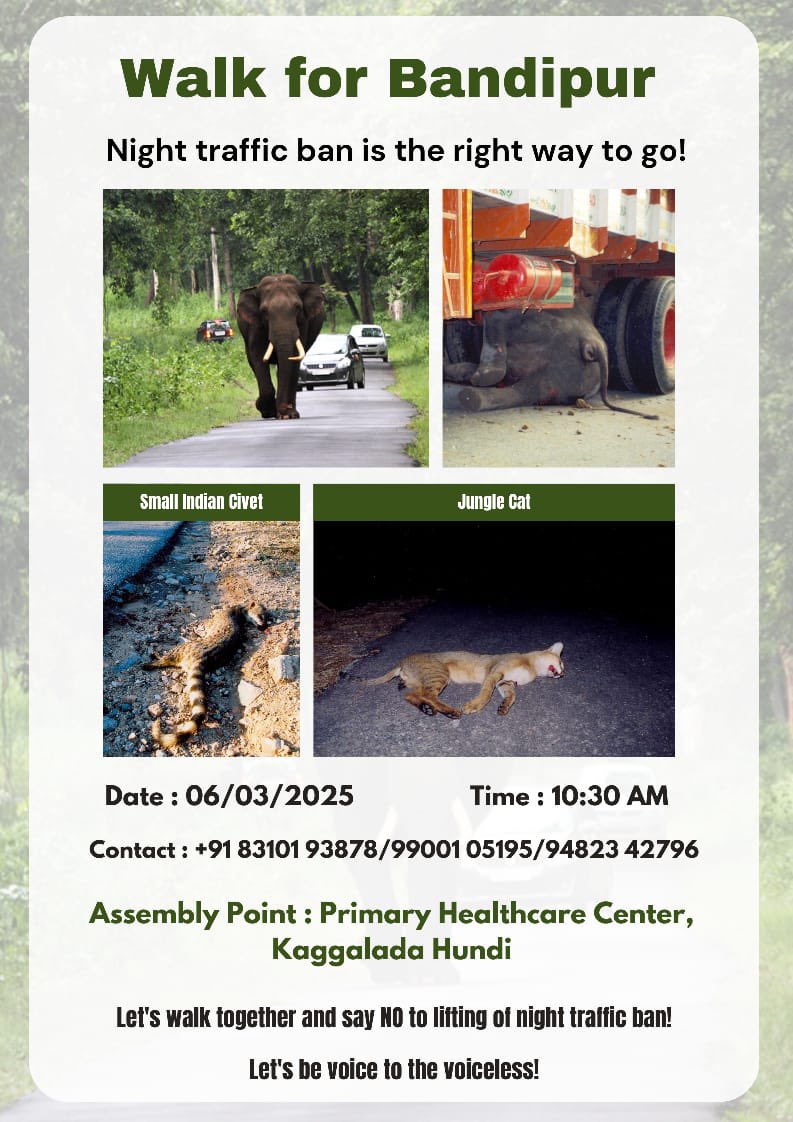 CLEAN MYSURU (@cleanmysuru) on Twitter photo Join our Walk to save Bandipur forest. No Night traffic through Bandipur forest. Save Wildlife & Save Forest. <a href="/eshwar_khandre/">Eshwar Khandre</a> <a href="/yaduveerwadiyar/">Yaduveer Wadiyar</a> <a href="/Tejasvi_Surya/">Tejasvi Surya</a> <a href="/aranya_kfd/">Karnataka Forest Department</a> <a href="/narendramodi/">Narendra Modi</a> Join our Walk to save Bandipur forest. No Night traffic through Bandipur forest. Save Wildlife & Save Forest. <a href="/eshwar_khandre/">Eshwar Khandre</a> <a href="/yaduveerwadiyar/">Yaduveer Wadiyar</a> <a href="/Tejasvi_Surya/">Tejasvi Surya</a> <a href="/aranya_kfd/">Karnataka Forest Department</a> <a href="/narendramodi/">Narendra Modi</a>
