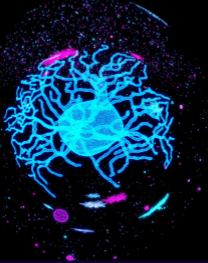 Tyler Sloan tweet media