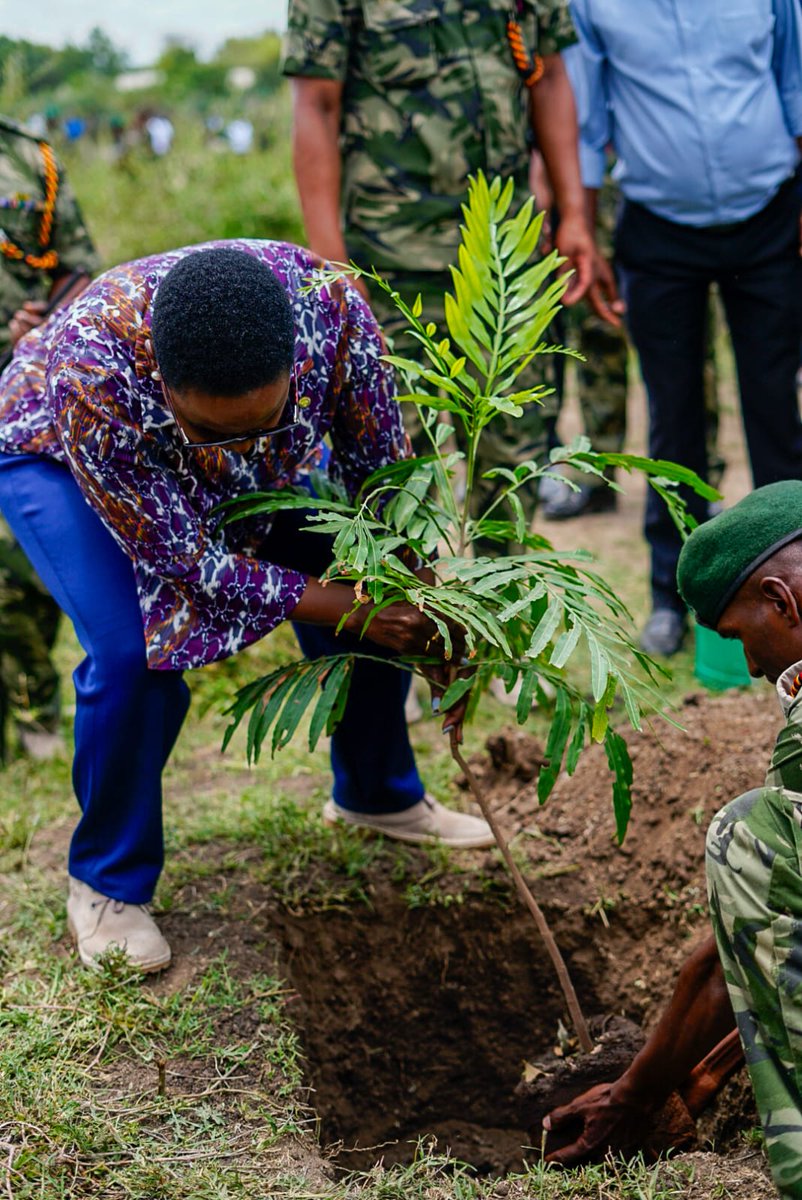 CorrectionalKE's tweet photo. The State Department for Correctional Services has launched a monthly tree planting campaign.

Speaking while launching the campaign at the Kitengela GK Prison, Principal Secretary Dr. Salome Beacco said the exercise, that will take place every first Thursday of the month, is in line with the national tree growing and landscape restoration campaign as championed by President William Ruto.

She said the State Department remains committed in leading the National Landscape and Ecosystem Restoration Program, with a goal of cultivating 100 million trees annually with over 81,394 seedlings already planted within prison lands, about 40,000 donated to organizations and communities, and over 10,000 sold for further distribution.

During Thursday’s launch, over 3,000 indigenous trees were planted at the Kitengela GK Prison, with the launch happening concurrently across all correctional facilities in the country.

Present during the ceremony was Commissioner General of Prisons Patrick Aranduh, Probation and Aftercare Secretary Dr. Christine Obondi and other staff from the State Department for Correctional Services.