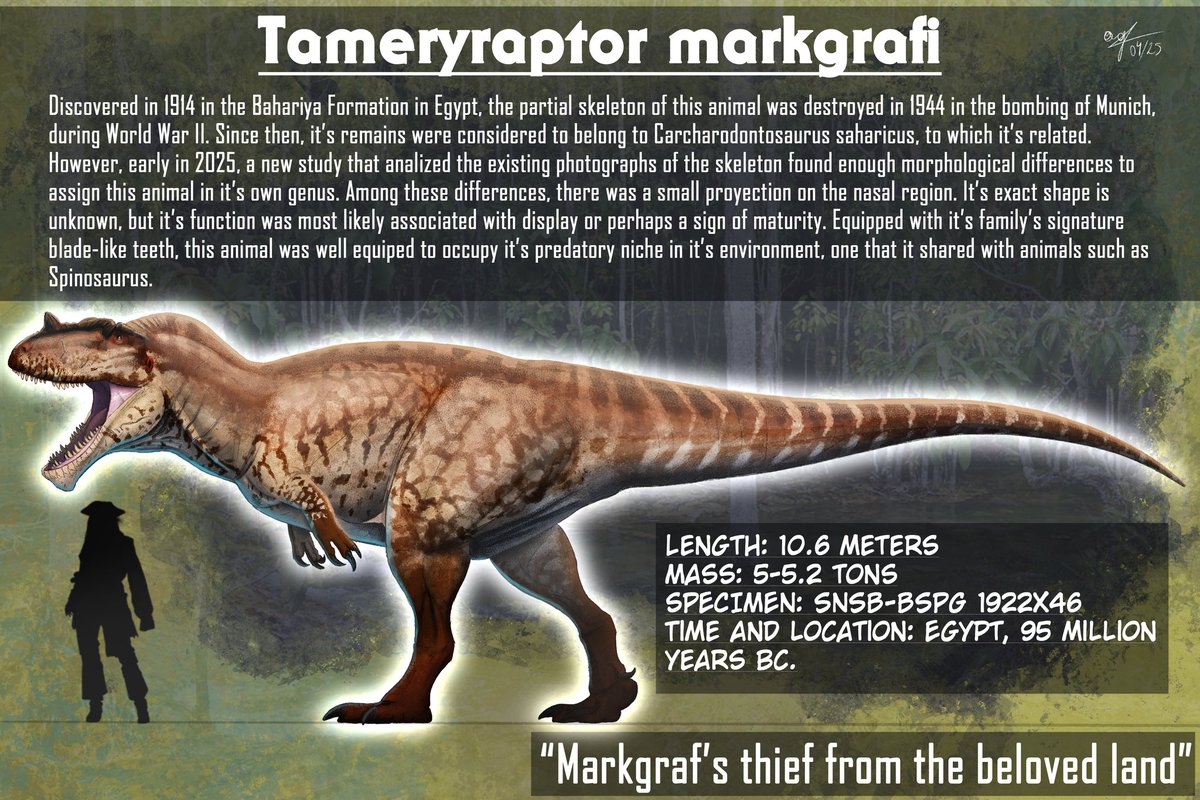 Time to go back to what I do: draw!

First in a series of illustrating the megatheropods, Tameryraptor!
Welcome to another Bonanza series! Stay tuned!

Background pic: Fletcher &amp; Baylis - Fine art America

#dinosaur #paleoart #procreate #photoshop