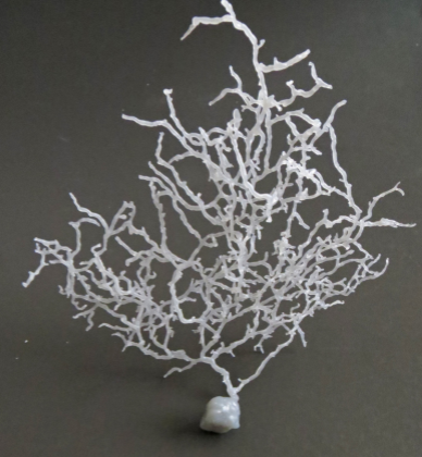 Tyler Sloan tweet media