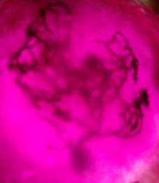 Tyler Sloan tweet media