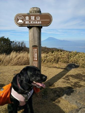【金冠山・小達磨山・達磨山】思い出の山は絶景の稜線歩き youtu.be/D8L_701iA0E?si… <a href="/YouTube/">YouTube</a>より

先月行ってきた思い出の山の動画。
当時のLUNAも写真で登場するので見てみて〜😘
#愛犬との思い出
#静岡県
#金冠山
#達磨山
#登山
#トレッキング
#ハイキング
