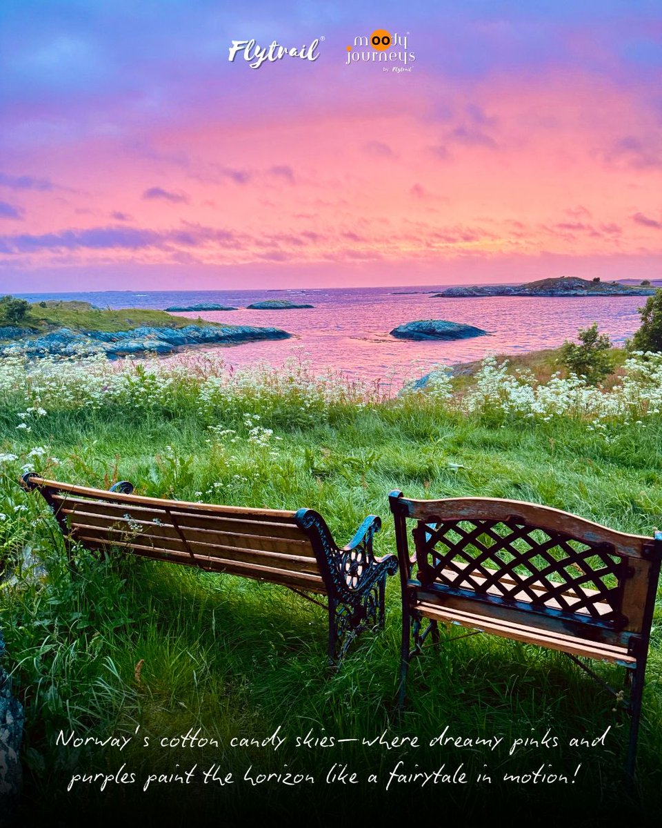 FlyTrail tweet media